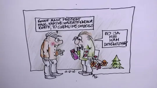 Maciek szuka Walentynki