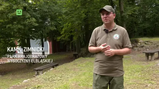 Magazyn Telewizji Lokalnych
