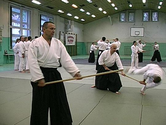 Aikidocy w akcji