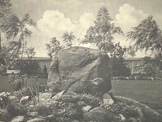 Archiwizje - park