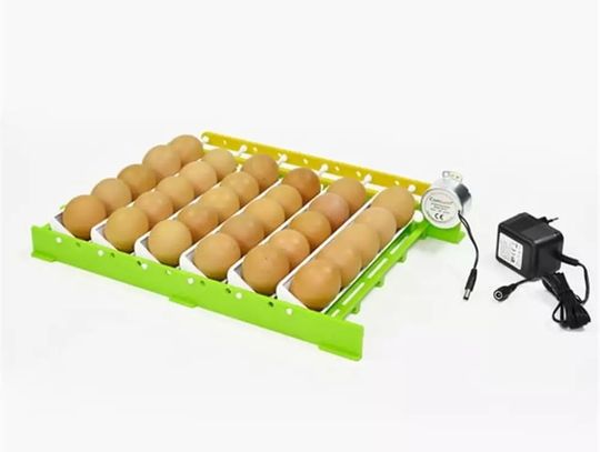 Bio Eggs, PADR, Emisje Online - usługi dla rolników