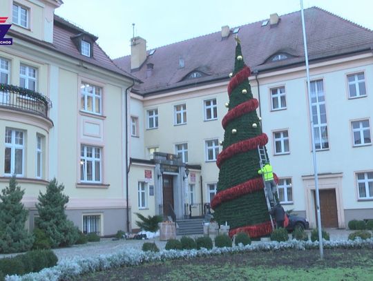 Choinka przed starostwem
