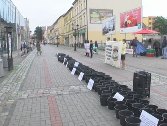 Czy jeść mięso?