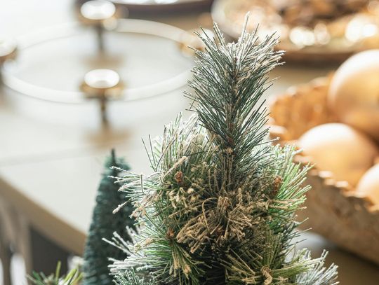 Dlaczego fraza „choinki sztuczne producent” ma znaczenie w wyborze dostawcy
