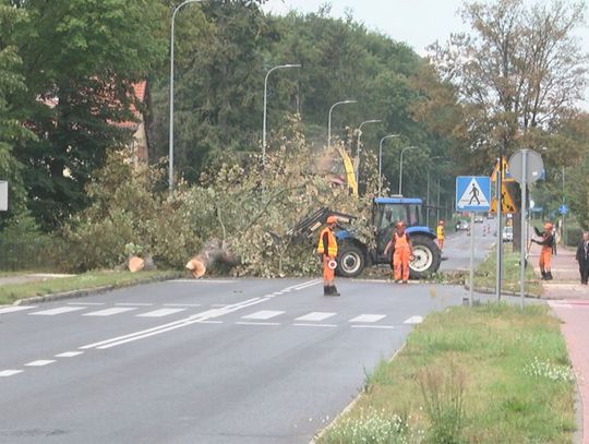 Drwale na Kościuszki