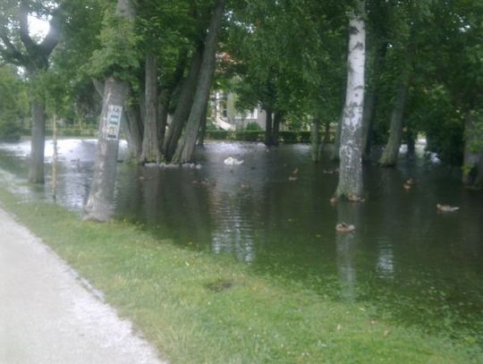 Duża woda