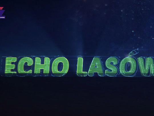 Echo lasów