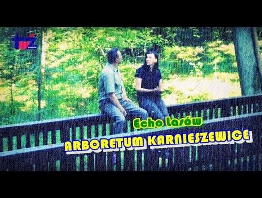 Echo lasów 6