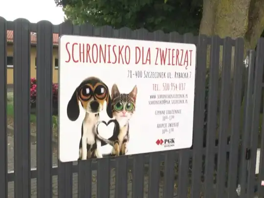 Ekologiczna akcja: Oddaj elektrośmieci i pomóż schronisku dla zwierząt do 16 września!