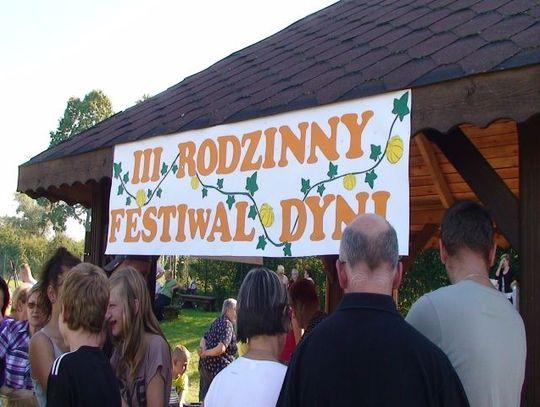 Festiwal dynii