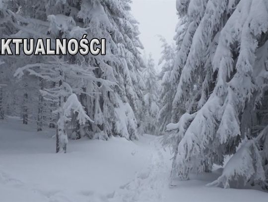 Filmowe Aktualności TV Zachód