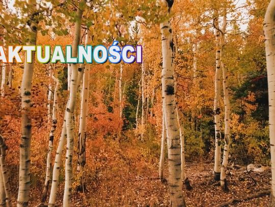Filmowe Aktualności TV Zachód