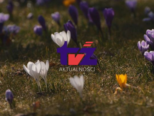 Filmowe Aktualności TV Zachód i program