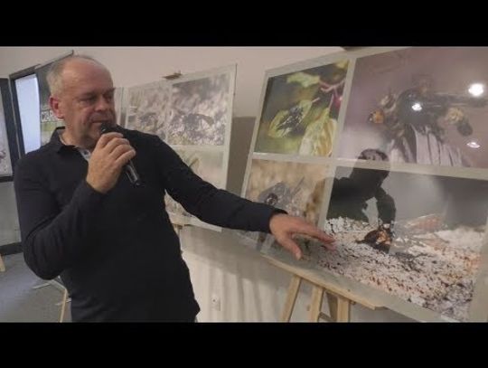 Fotografie przyrody