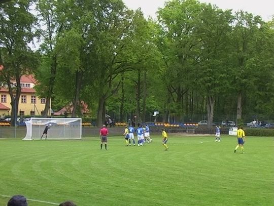 Indolencja Darzboru