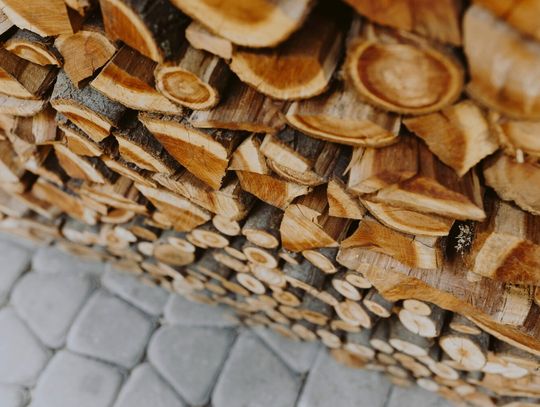 Jak zoptymalizować proces suszenia drewna w suszarni?