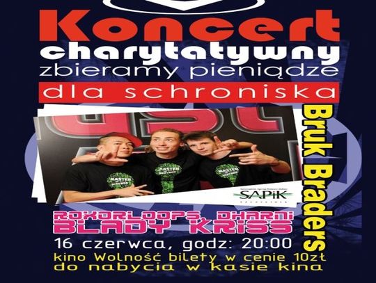 Koncert dla.. kotów