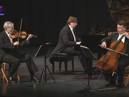 Kulka trio