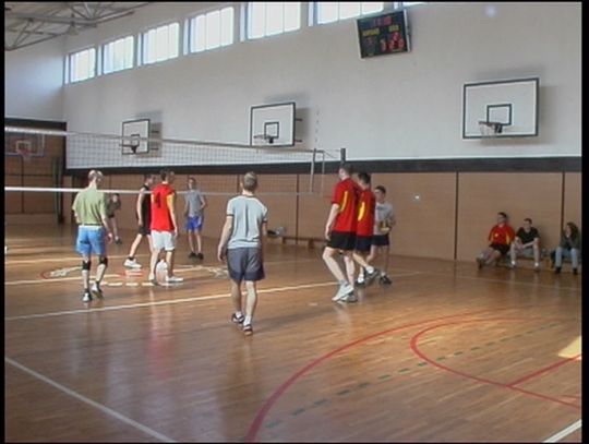 Liga siatkarzy