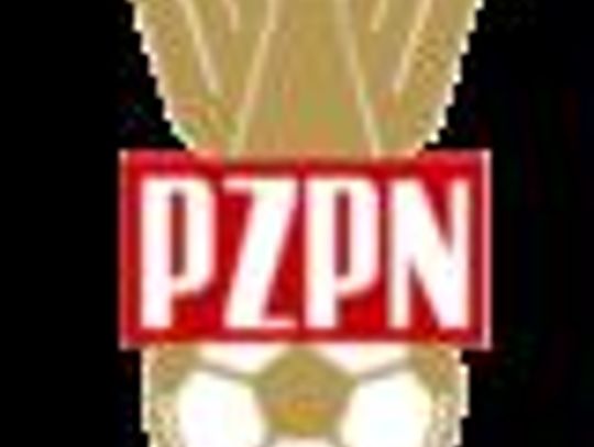 Mecz międzypaństwowy