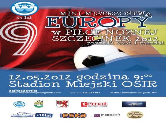 Mini Euro 2012