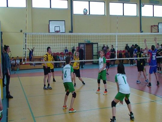 Mini Volley CUP
