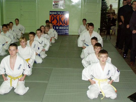 Mistrzostwa w karate