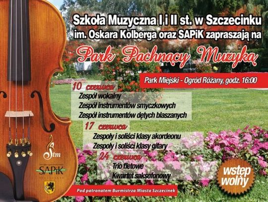 Muzyka w parku