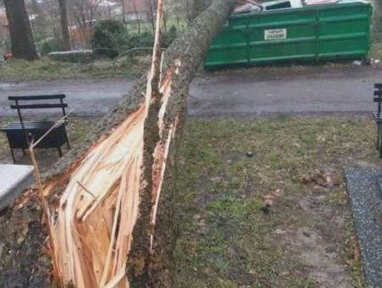 Na cmentarzu niebezpiecznie - zakaz wstępu.