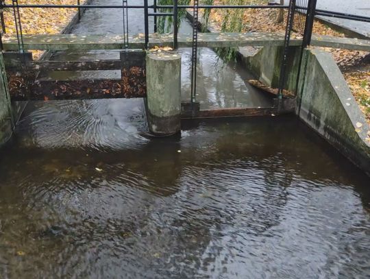 Niezdobną płynie woda