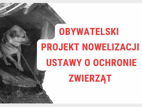 Nowelizacja ustawy o ochronie zwierząt – wesprzyj inicjatywę!