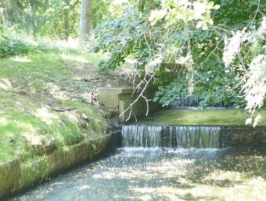 Park w kurorcie zaprasza