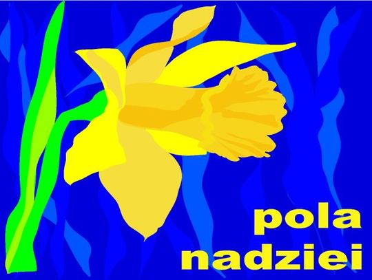 Pola Nadziei