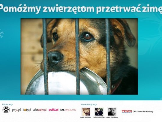 Pomagamy zwierzakom