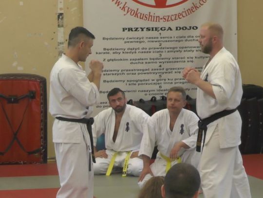 Popularne karate