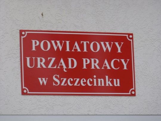 Praca szuka pracowników