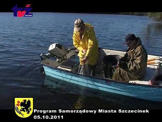 Program Samorządowy