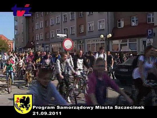 Program Samorządowy