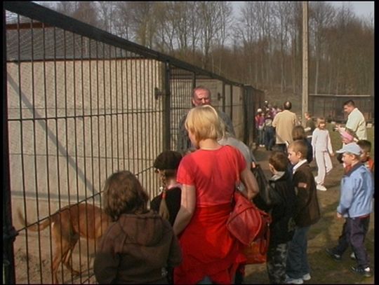 Przenty dla zwierząt