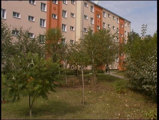 Przyblokowy ogródek