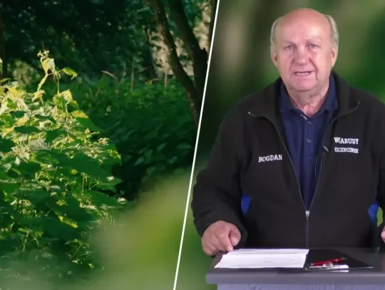 Rajd Rowerowy na Powitanie Jesieni - Dołącz do Przygodny na dwóch Kółkach!