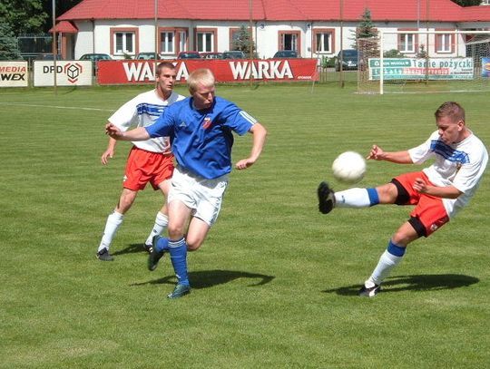 Remis Darzboru