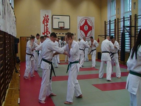 Seminarium karate