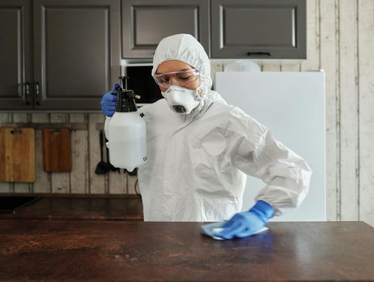 Skuteczne metody zwalczania szkodników: Zamgławianie ULV i Specjaliści od Pest Control