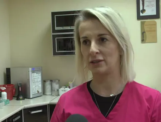 Spokojny Sylwester dla zwierząt — weterynarze radzą, jak złagodzić stres przed hukiem fajerwerków