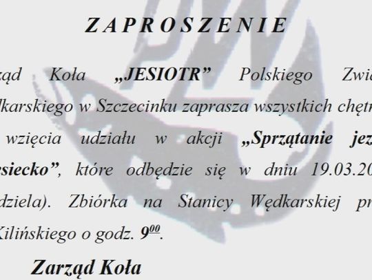 Sprzątanie jeziora