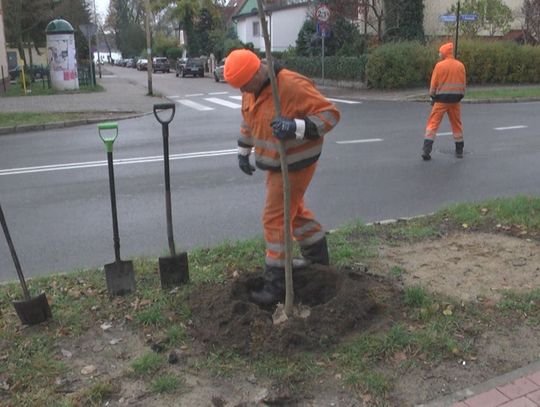 szczecineckie ulice zmieniają się 