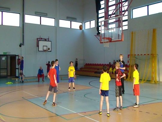 Trio Basket