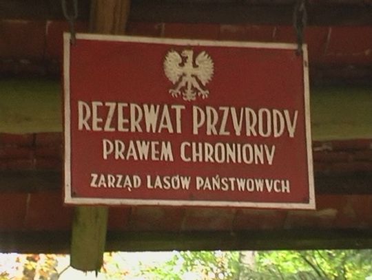 Upiekli ziemniaki