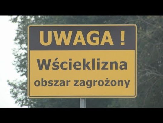 Uwaga! Wścieklizna!